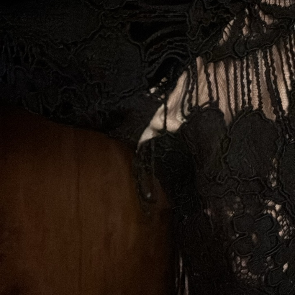Jessica Howard Black Lace over a nude liner. Illusion dress. - Picture 5 of 6